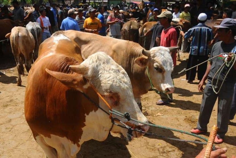 Menghidupkan Hakikat Kurban dalam Kehidupan